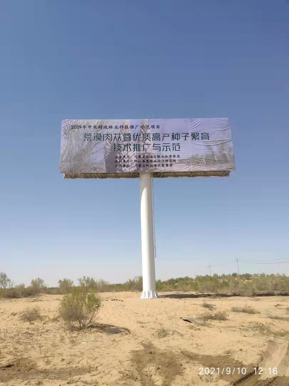 内蒙古阿拉善左旗现场照片 1