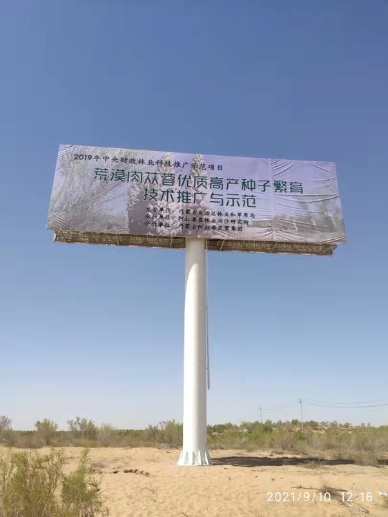 内蒙古阿拉善左旗现场照片 2