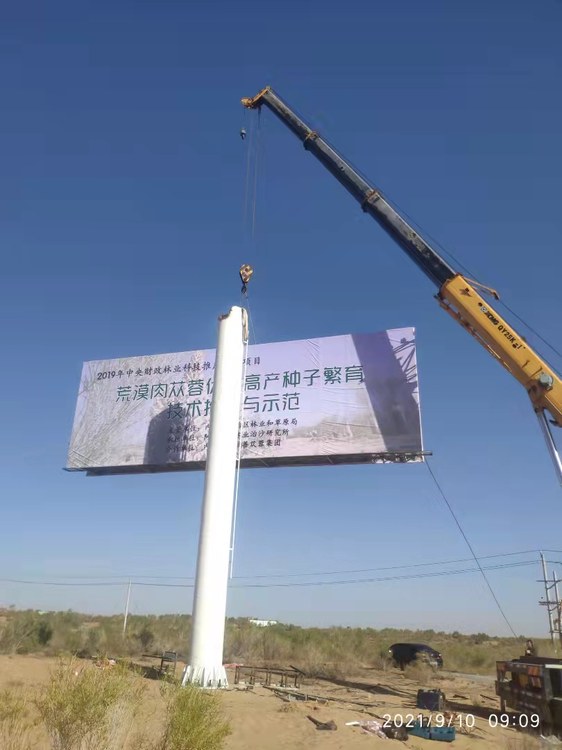 内蒙古阿拉善左旗现场照片 3