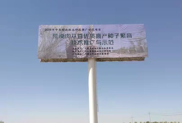 内蒙古阿拉善左旗两面单立柱广告塔