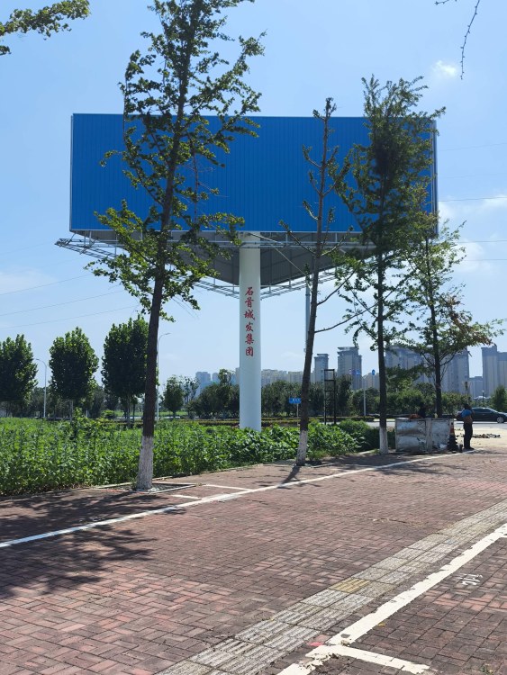 完工后行道树旁整塔